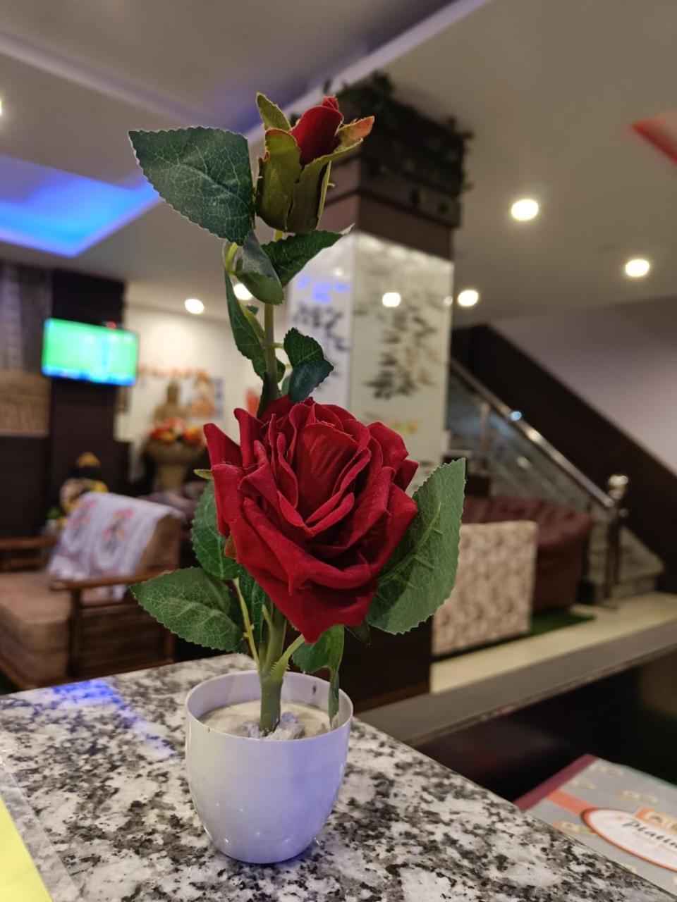 King Castle Mcleodganj-Centrally Heated And Air Cooled- Near Mall Road - Free Parking Dharamshala Bagian luar foto